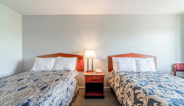 Casual Comfort Meets Local Life: Base for Exploring Southwest Missouri & Beyond