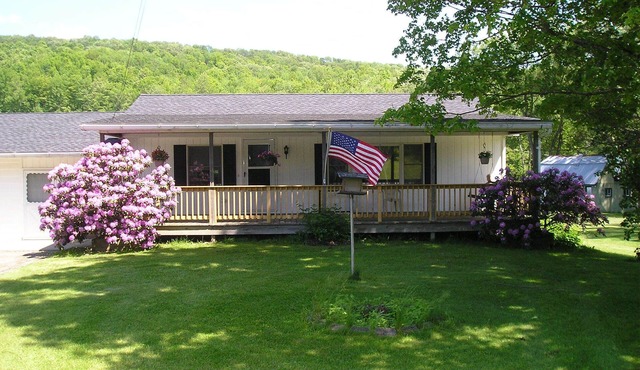 Charming Wellsboro Cabin w/Magnificent Views/AC/WiFi/5 mins to Center of Town