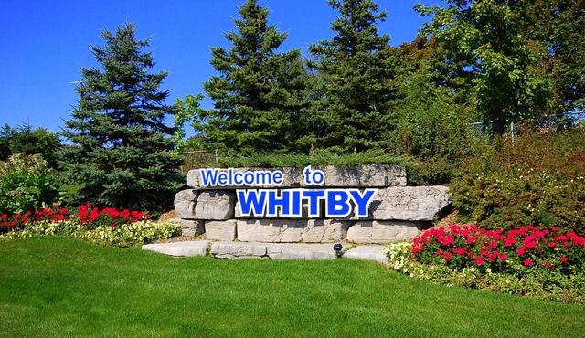 Clean and Spacious 4-bdrm Family home in Whitby!