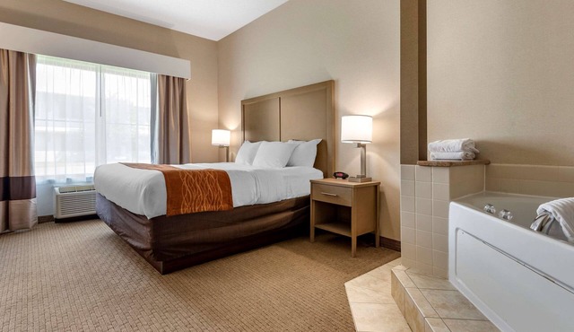 Comfort Inn & Suites Farmington - Victor