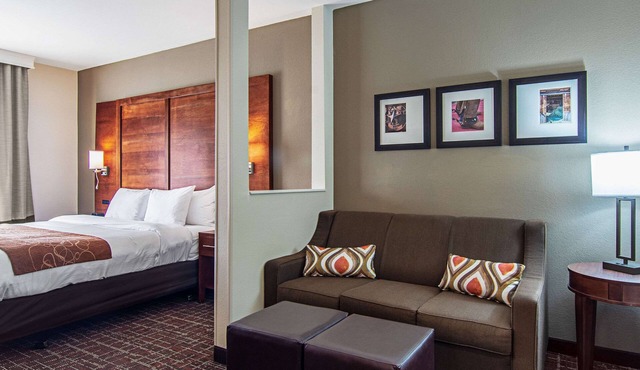 Comfort Suites NW Dallas Near Love Field
