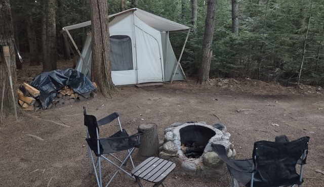 Conifer Site TMT