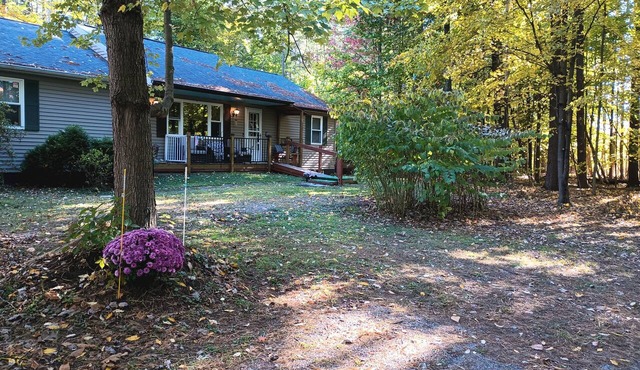Cozy 1 bedroom efficiency in a forest-like setting near Lake George and Saratoga