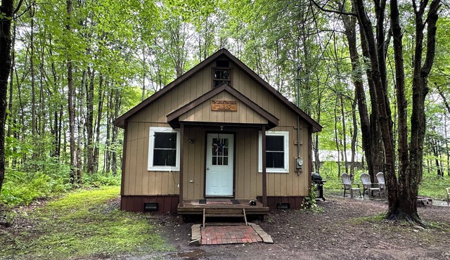 Cozy cabin away from Hustle and Bustle - Woodsy, Peaceful, Tranquil!