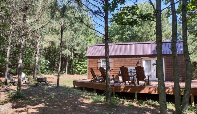 Cozy cabin in the piney woods