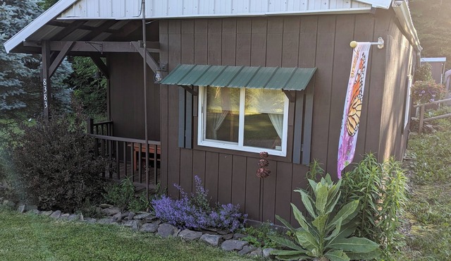 Cozy Cabin with an RV &Camper Hookup Pet Friendly Peaceful & Relaxing