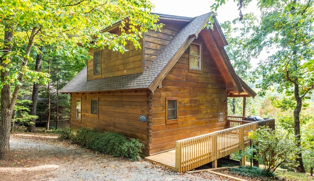 Cozy Lake Lure Cabin