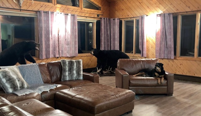 Cozy Lodge