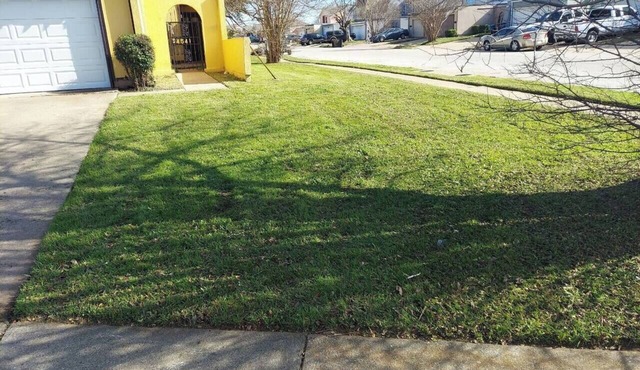 Cozy & Quant: Spacious 4-bedroom townhome in delightful Fort Worth.