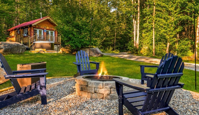 Cozy Summer Retreat Dogs Welcome