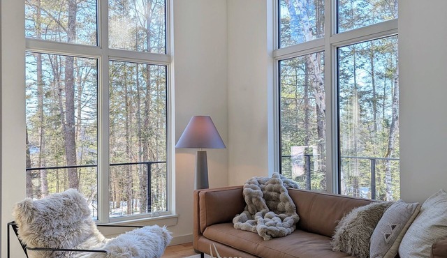 Cozy, sun filled mountain retreat w/45 private acres, hot tub, gym, car charger!