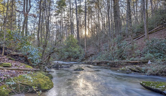 Creekside Oasis - Secluded Cabin in the Mountains on Swift Moving Creek