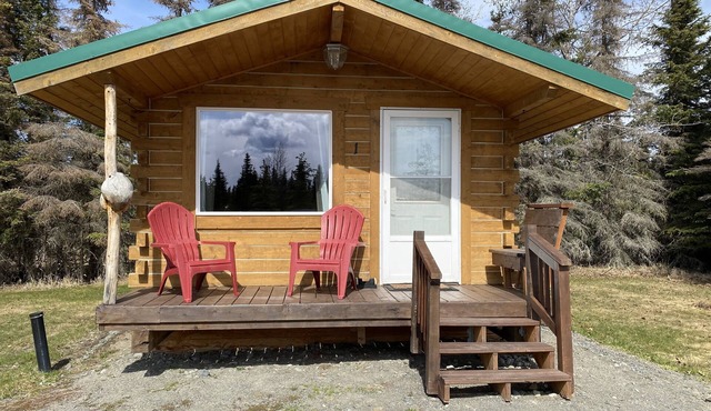 Cute & Cozy Cabin @ Moose Tracks Lodging