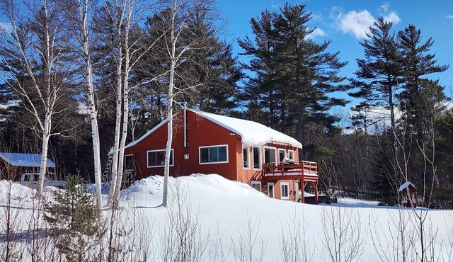 Dog Friendly Cabin w/Hot Tub & Stunning Views!