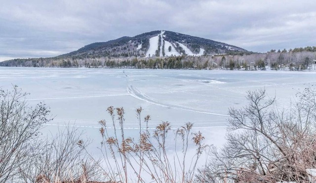 Dog friendly getaway w/hot tub, sauna and skiing!