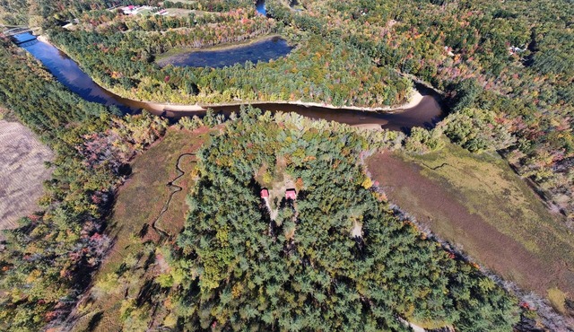 Dog friendly Waterfront Cabin Near White Mountains w/kayaks & SUPs