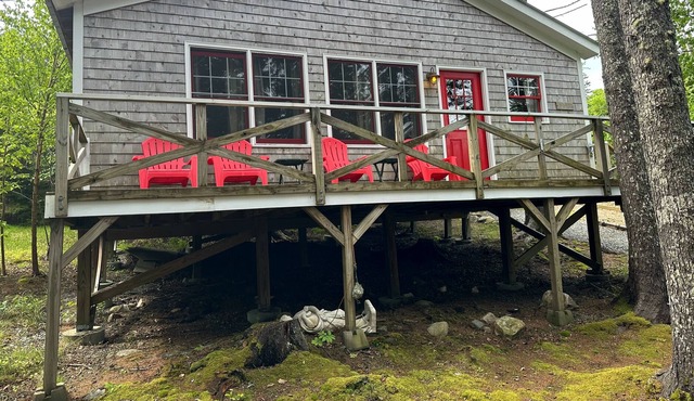 Enjoy a quiet stay at our wooded and secluded cottage!