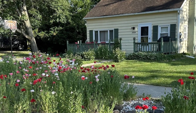 From wine tours to family gatherings, this quaint cape has something for all!