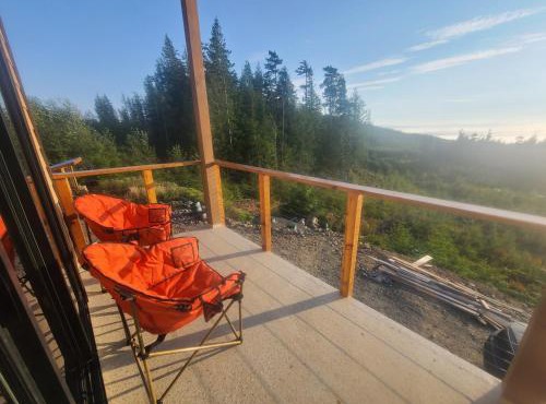 Funky Forest Bnb