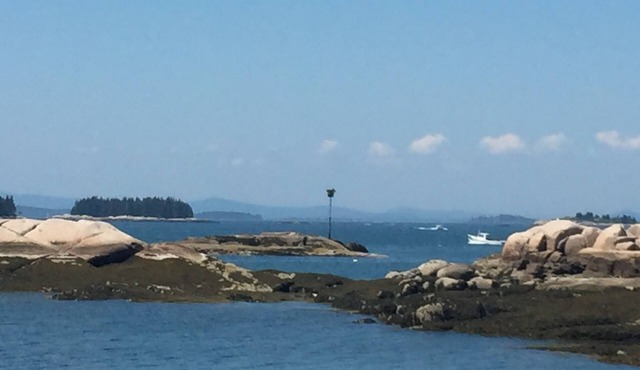 Garden cottage w/ 4 kayaks/gear/dock/patio, parking on Stonington Harbor nearby