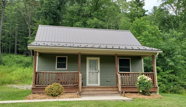 Great Valley Cabin 4 - Comfortable Cabin Retreat in the Heart of the PA Wilds