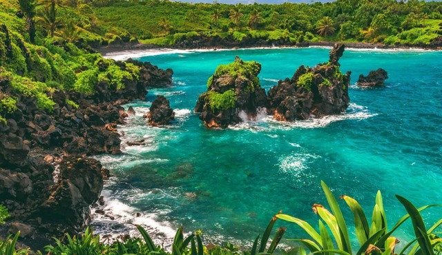 Have Fun in Hawaii! 4 Family-friendly Units, Pool, Pets are Welcome!