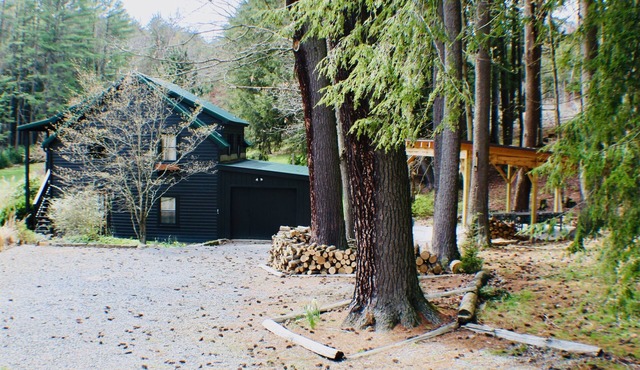 Heart of Cook Forest, 2 Dogs Stay Free/High Speed Internet/Sleeps 12/Pavilion