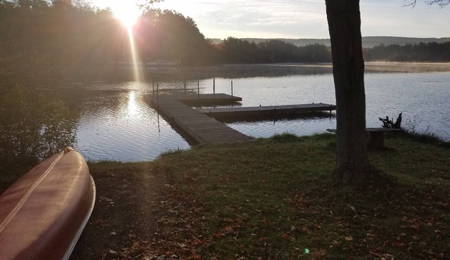 Heron Hideaway: Lamoka Cottage w/Private 3/4 Acre Lot, 135' Flat Lakefront