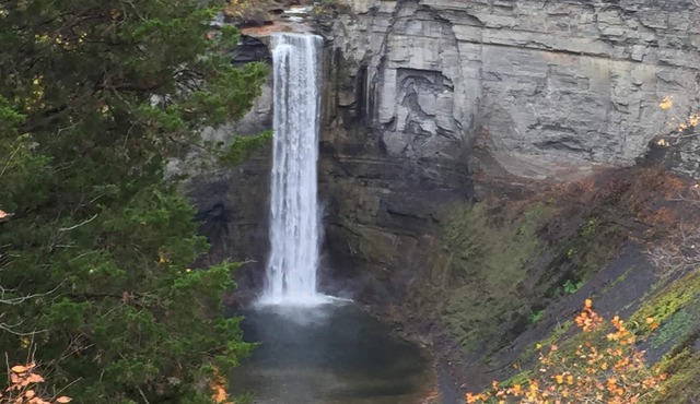Iconic Finger Lakes Home to Make Your Family Memories!