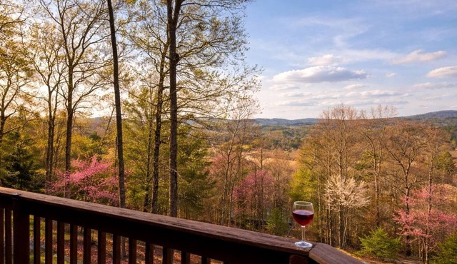 Incredible Mountain Cabin for a Memorable Family Getaway in Nature near Blairsville, Georgia