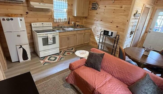 Jungo Cabin #1 in Gouldsboro