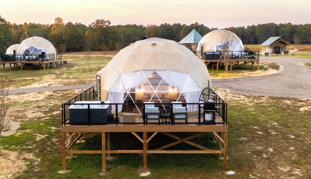 Lake Front Geodesic Dome: Hot Tub & Lake Views in Cedar Bluff