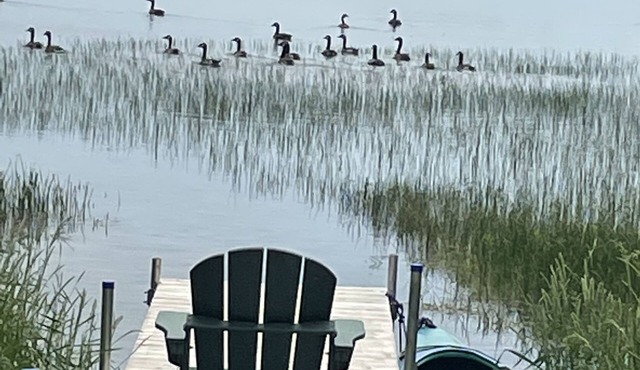 Lake front home, and 15 minutes to Arcadia National Park