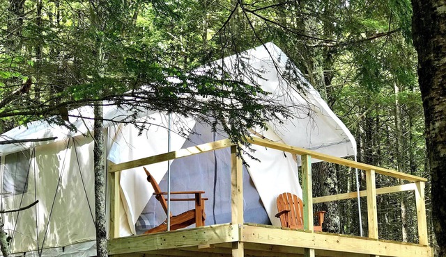 Lakefront Glamping Tent w/ensuite bath, King Bed, Fabulous View, near Acadia