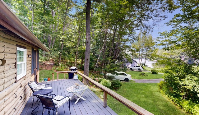 Lakeview Cabin with Private Deck, Grill, & Fireplace + Free WiFi - Close to Town