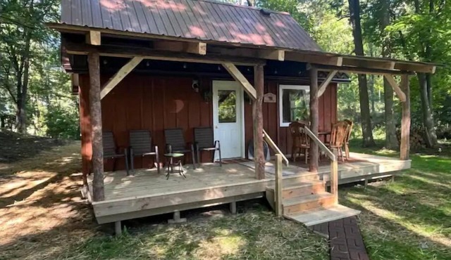 Livingston cabin