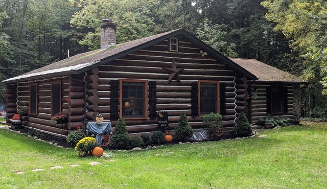 Log Cabin in the woods