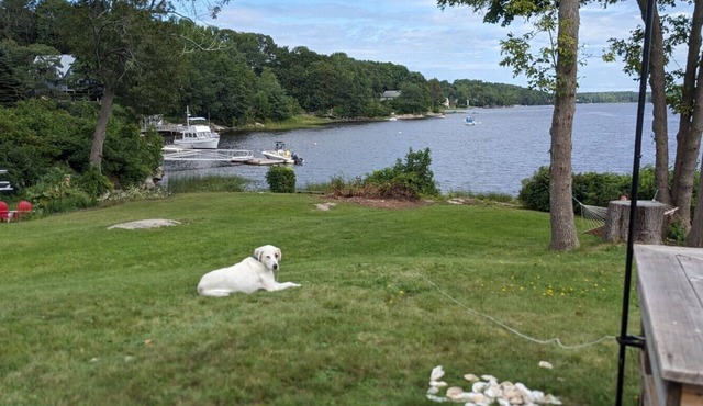 Maine waterfront, walkable to historic downtown