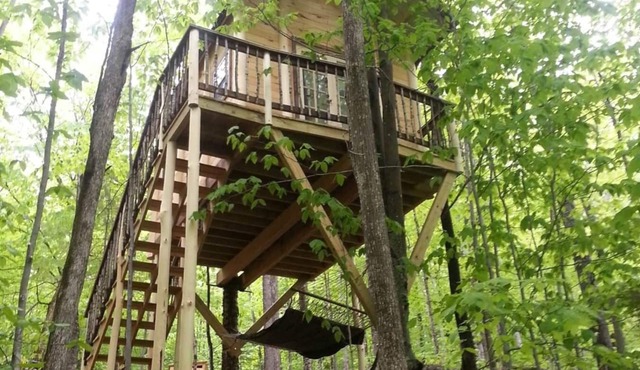 Maine Woods Treehouse-The Birdie