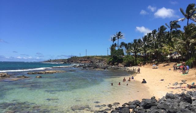 Maui's best Surf, wdsurf, snorkeling by secluded beach+ AC