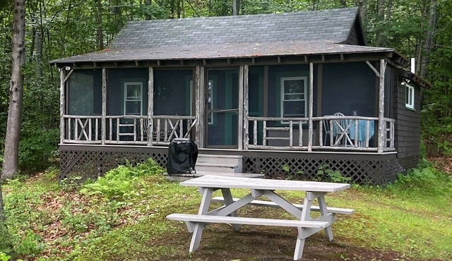 Metz Camp - Very private atop a knoll with view of beautiful Clearwater Lake.