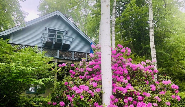 Modern cabin w/ heated pool near Lake George
