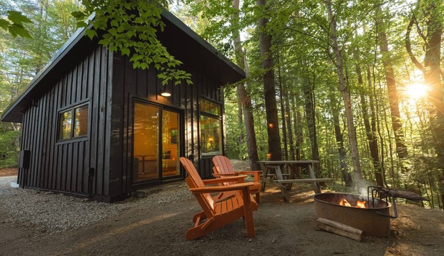 Modern, luxurious cabin in the woods - 21