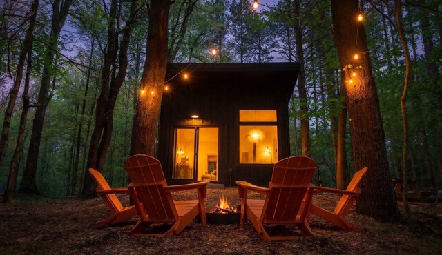 Modern, Luxurious Cabin in the Woods - 01