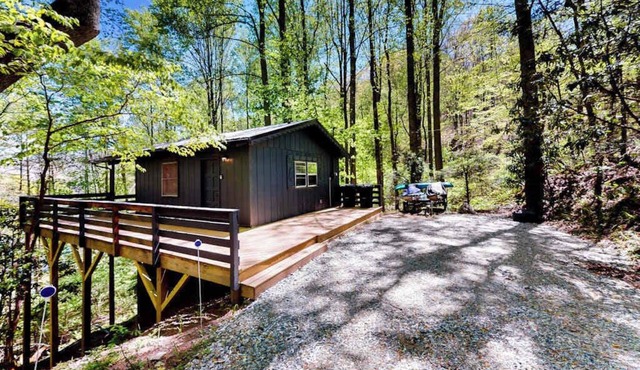 Mountainside escape with Nantahala Lake views & serene deck - dog-friendly