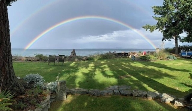 Ocean front, walk on, bright and private, 2-bedroom cottage with sauna,
