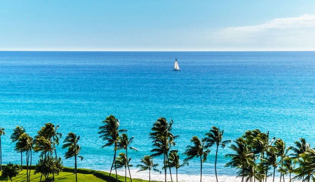 Ocean View StudioHot TubParking (Min) 30 Day rental