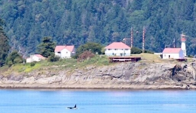 Oceanfront*Relax with the Eagles*Dog Friendly