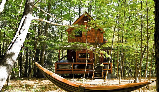 Out On a Limb — A Magical Treehouse Experience