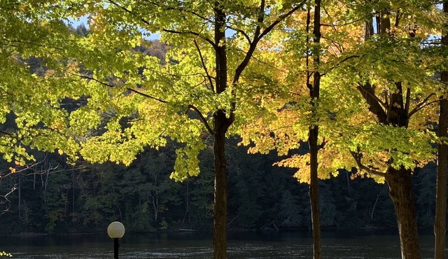 Peaceful Adirondack waterfront